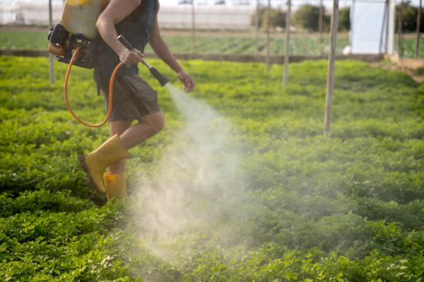 Best Exterminator Services  in Loma, CO
